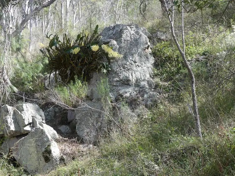 Second view of Homely rural property listing, Lot 3 King Road, Wildash QLD 4370