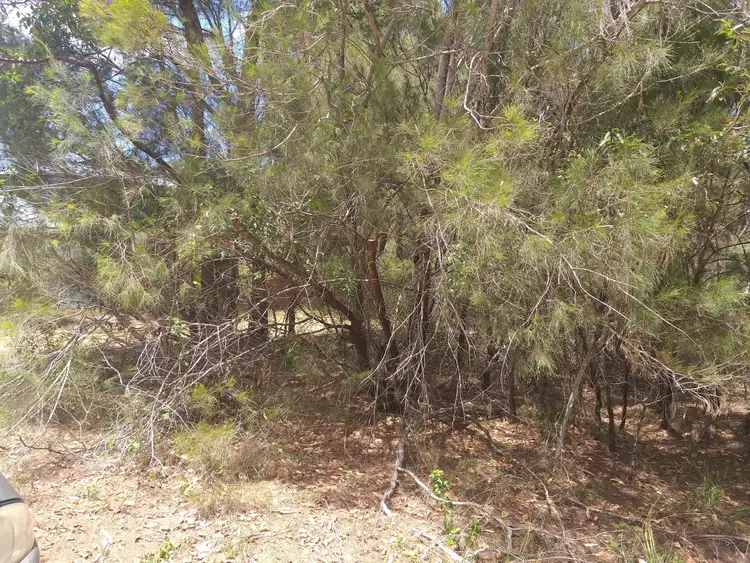 36 Tahlin Dr, Russell Island QLD 4184