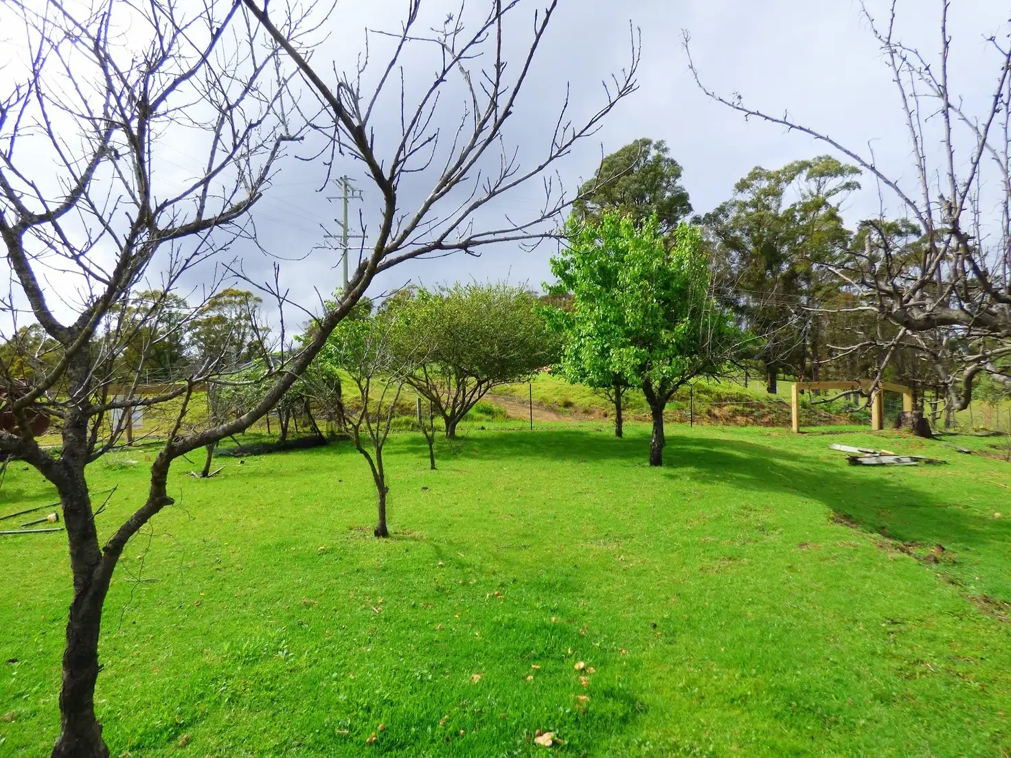 Main view of Homely rural property listing, 3 Hazelnut Drive, KIAH Via, Eden NSW 2551