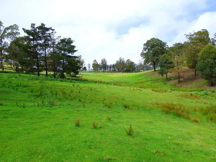 Third view of Homely rural property listing, 3 Hazelnut Drive, KIAH Via, Eden NSW 2551