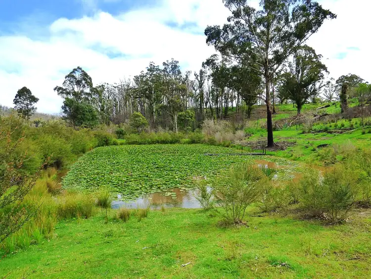 Fourth view of Homely rural property listing, 3 Hazelnut Drive, KIAH Via, Eden NSW 2551