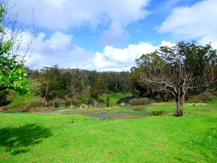 Seventh view of Homely rural property listing, 3 Hazelnut Drive, KIAH Via, Eden NSW 2551
