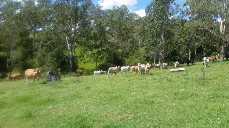 Main view of Homely rural property listing, Lot 11 Yongurra Road, Kyogle NSW 2474