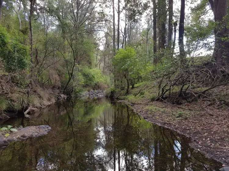 Third view of Homely rural property listing, Lot 11 Yongurra Road, Kyogle NSW 2474