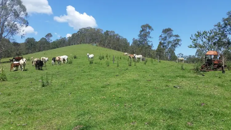 Seventh view of Homely rural property listing, Lot 11 Yongurra Road, Kyogle NSW 2474