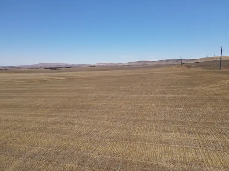 Third view of Homely rural property listing, Allotment 91 Wokurna Road, Mundoora SA 5555