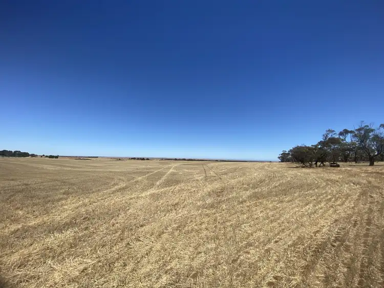 Sixth view of Homely rural property listing, Allotment 91 Wokurna Road, Mundoora SA 5555