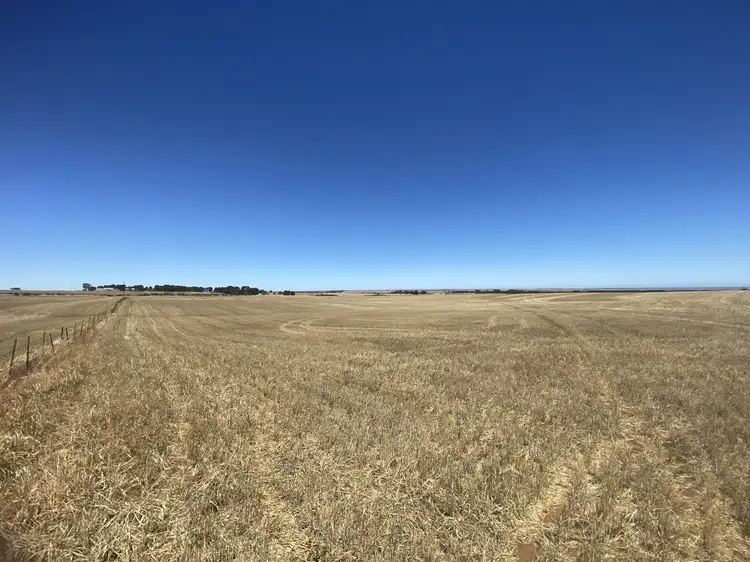 Seventh view of Homely rural property listing, Allotment 91 Wokurna Road, Mundoora SA 5555