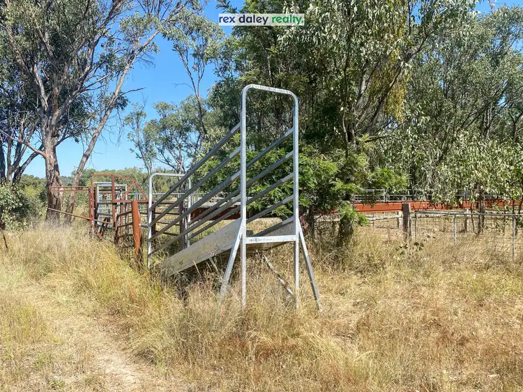 Third view of Homely rural property listing, 739 New Valley Road, Inverell NSW 2360