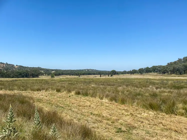 Fourth view of Homely rural property listing, 739 New Valley Road, Inverell NSW 2360