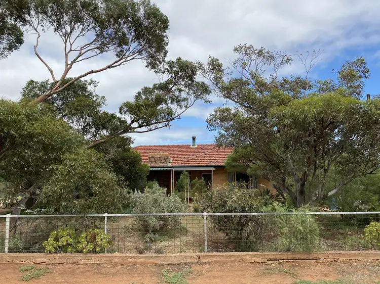 Main view of Homely rural property listing, 63 Blight Rd, Nelshaby SA 5540