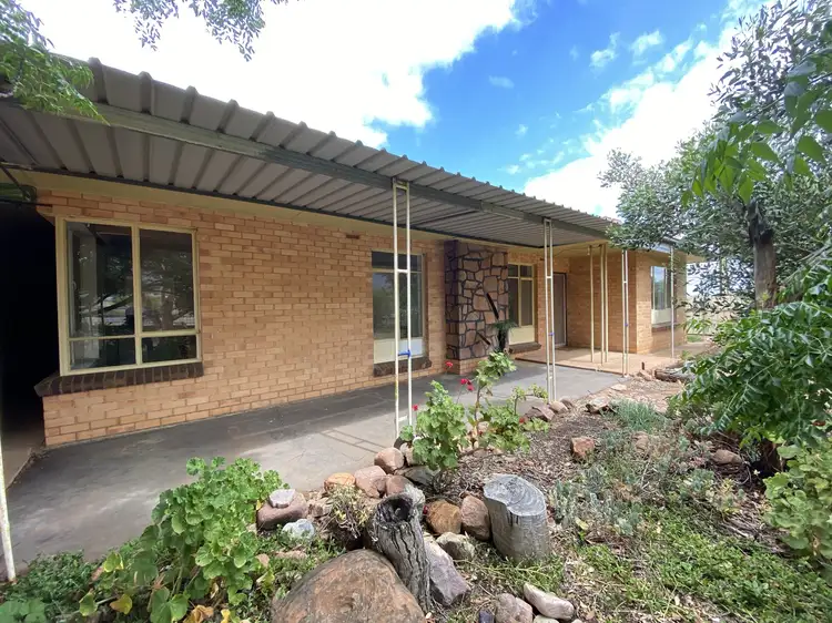 Second view of Homely rural property listing, 63 Blight Rd, Nelshaby SA 5540