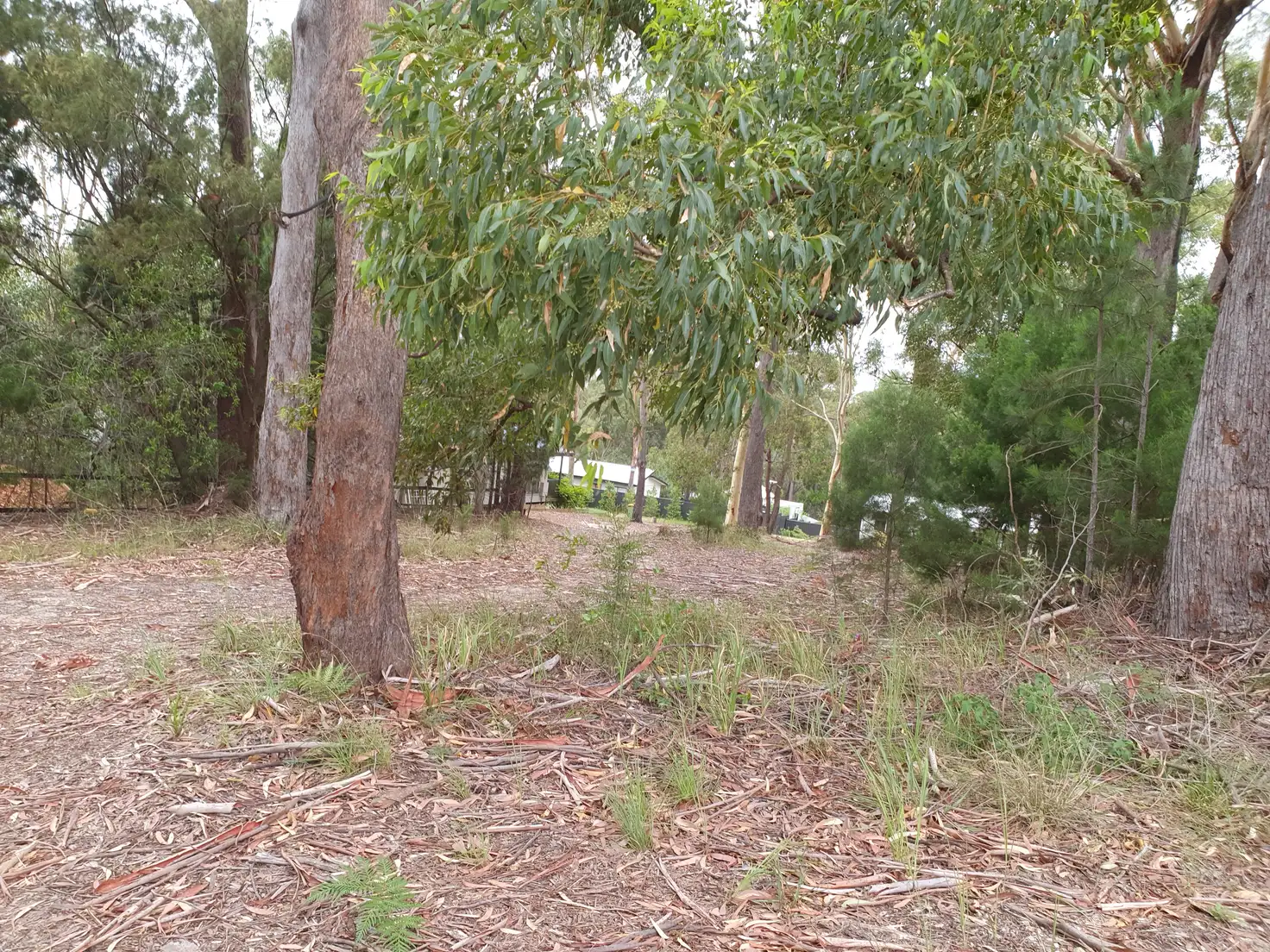 Main view of Homely land listing, 8 Callistemon St, Russell Island QLD 4184