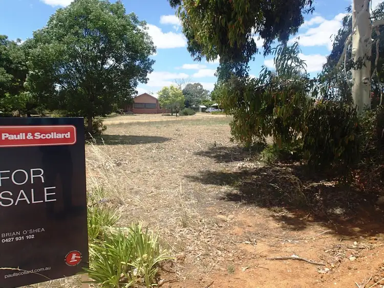 Main view of Homely rural property listing, Lot 1/231-241 Main Street, Rutherglen VIC 3685