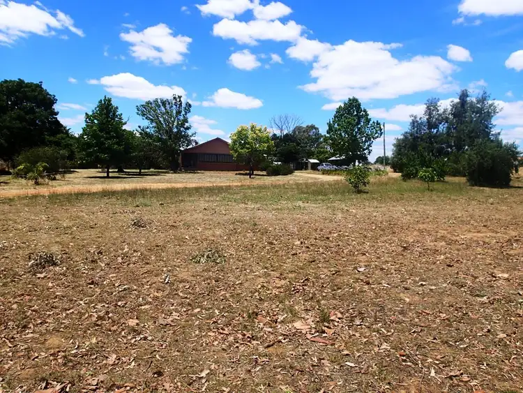 Seventh view of Homely rural property listing, Lot 1/231-241 Main Street, Rutherglen VIC 3685