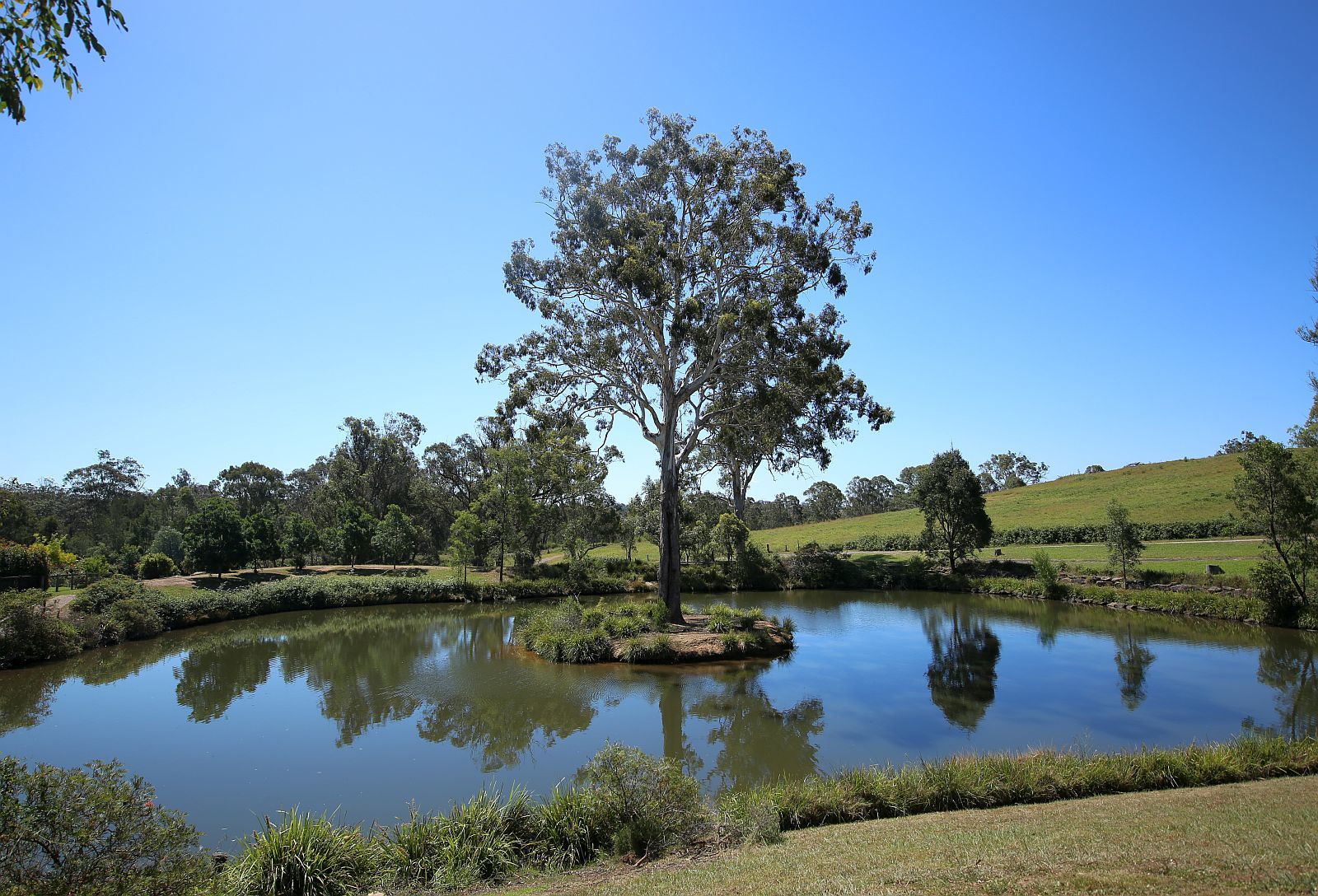 Third view of Homely land listing, 8 Attunga Cl, Picton NSW 2571