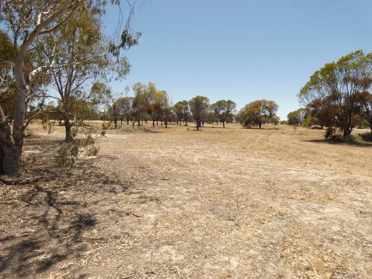 Second view of Homely land listing, 70 Mitchell St, Meckering WA 6405