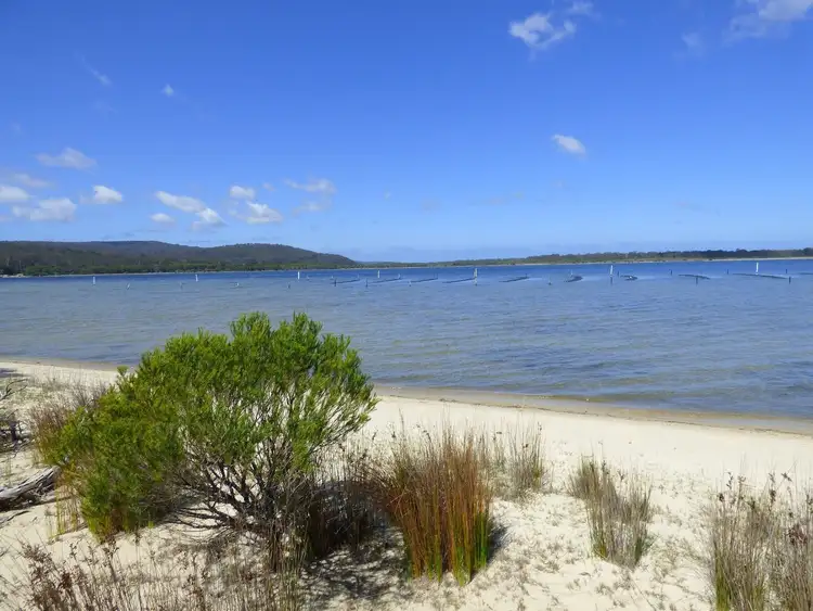 Fourth view of Homely rural property listing, 36 Gleeson Road, Wonboyn Via, Eden NSW 2551