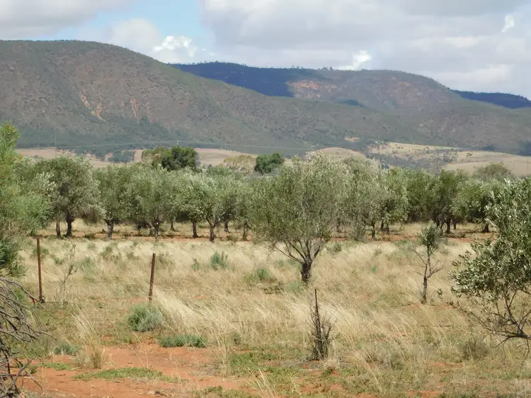 Second view of Homely land listing, Section 240 Olive Grove Road, Napperby SA 5540