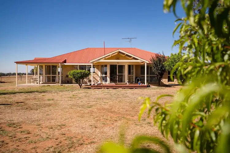 Fourth view of Homely rural property listing, 'Camelot' 49 Camelot Lane, Walla Walla NSW 2659