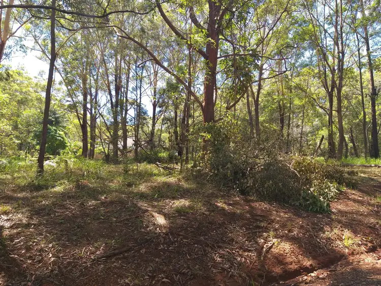 Main view of Homely land listing, 4 Park Avenue, Russell Island QLD 4184