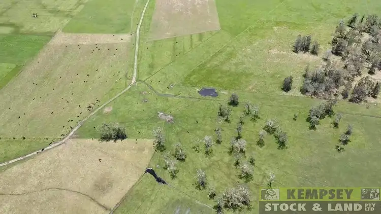 Fourth view of Homely rural property listing, 1576 South West Rocks Rd, Gladstone NSW 2440