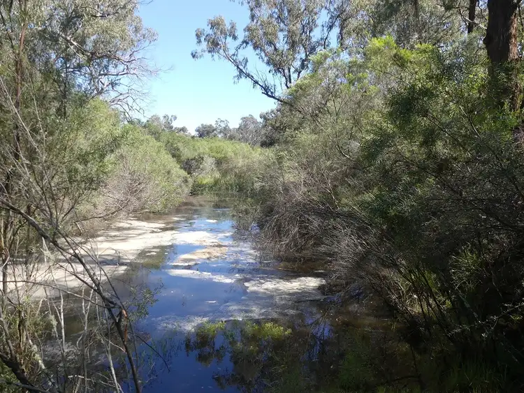 Seventh view of Homely rural property listing, 96 Gilbard Rd, Sugarloaf QLD 4380