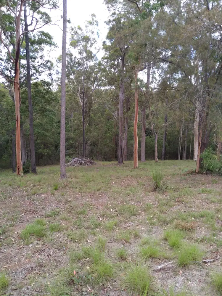 Seventh view of Homely land listing, 91 Martyn Rd, Bauple QLD 4650