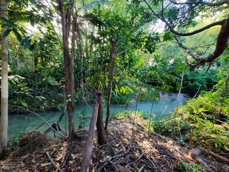 Main view of Homely land listing, LOT 2 Feluga Rd, Feluga QLD 4854
