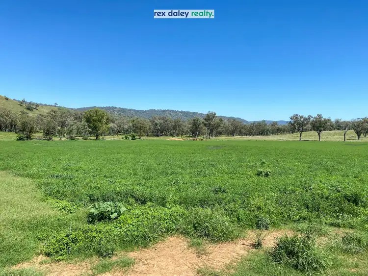 Third view of Homely rural property listing, 3674 Cobbadah Road, Bingara NSW 2404
