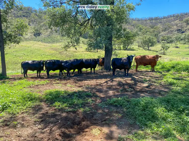 Fifth view of Homely rural property listing, 3674 Cobbadah Road, Bingara NSW 2404