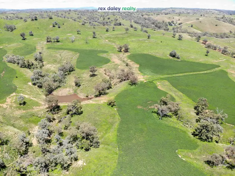 Sixth view of Homely rural property listing, 3674 Cobbadah Road, Bingara NSW 2404