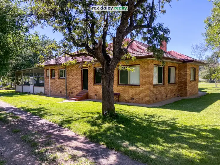 Seventh view of Homely rural property listing, 3674 Cobbadah Road, Bingara NSW 2404