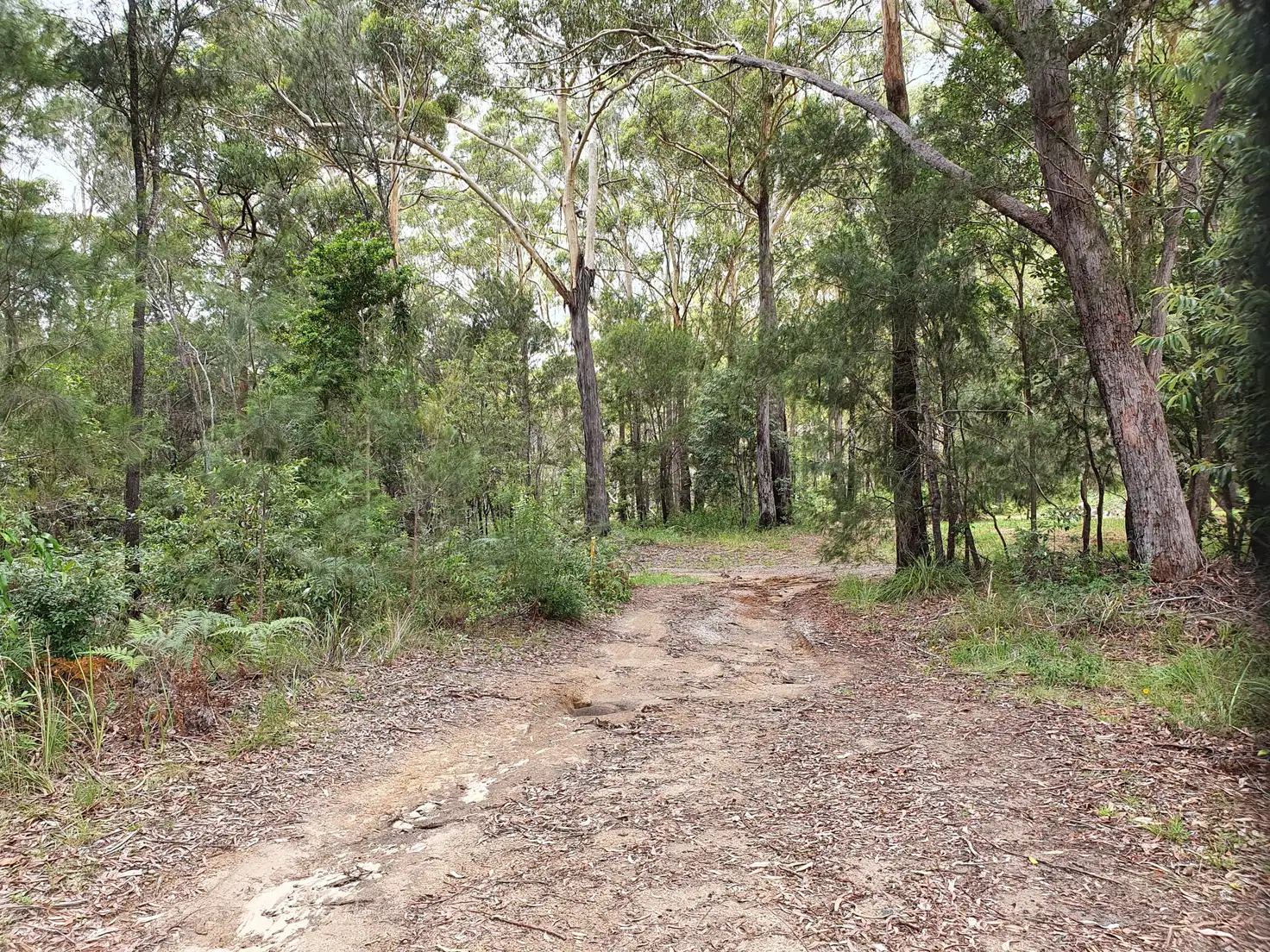 Main view of Homely land listing, 3 Monsoon St, Russell Island QLD 4184