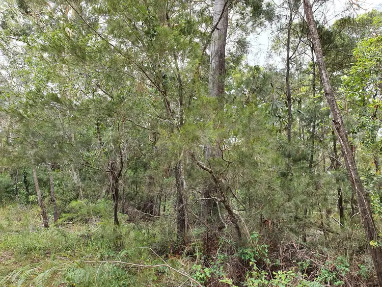 Third view of Homely land listing, 3 Monsoon St, Russell Island QLD 4184