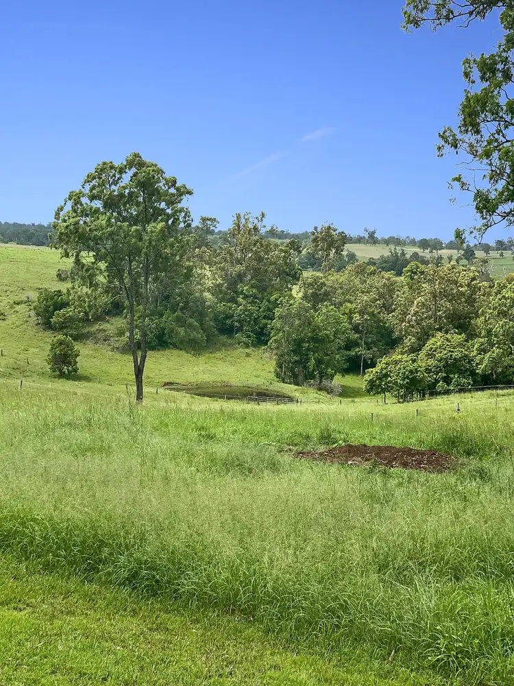 Fourth view of Homely rural property listing, 220 Upper Stratheden Rd, Kyogle NSW 2474