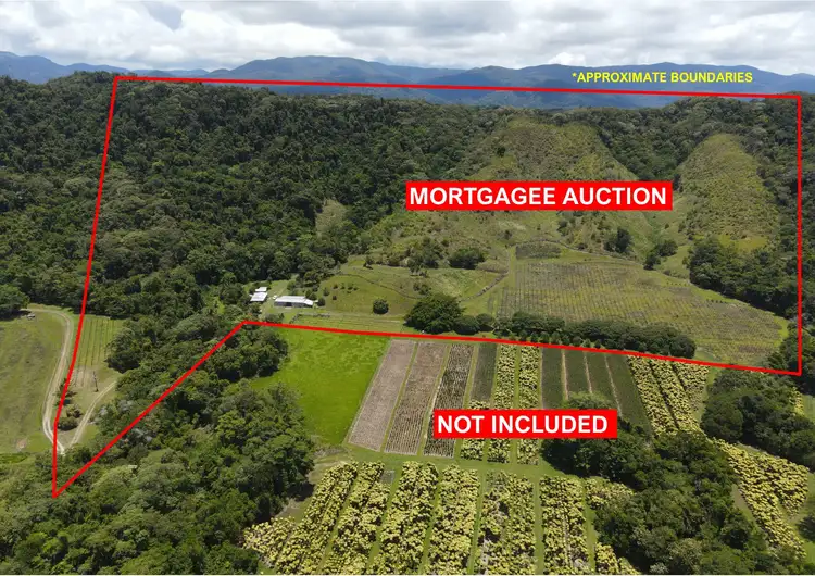 Second view of Homely rural property listing, 48 Beatrice Rd, Stewart Creek Valley QLD 4873
