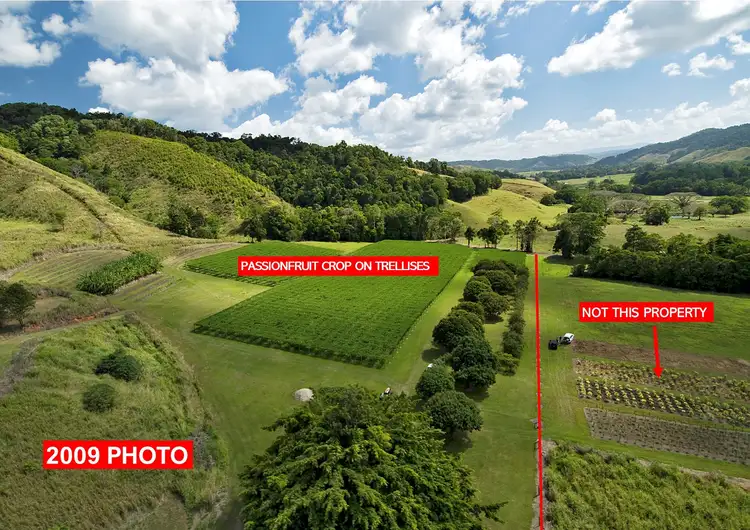 Sixth view of Homely rural property listing, 48 Beatrice Rd, Stewart Creek Valley QLD 4873
