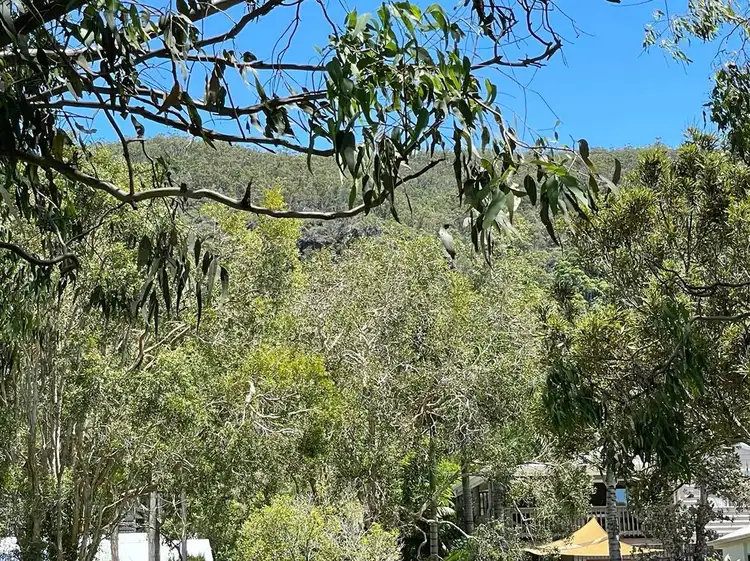 Sixth view of Homely house listing, 9 Beryl Terrace, Mount Coolum QLD 4573