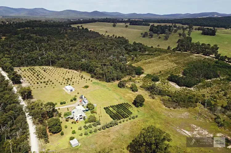 Third view of Homely rural property listing, 93 Quire Rd, Buchan South VIC 3885