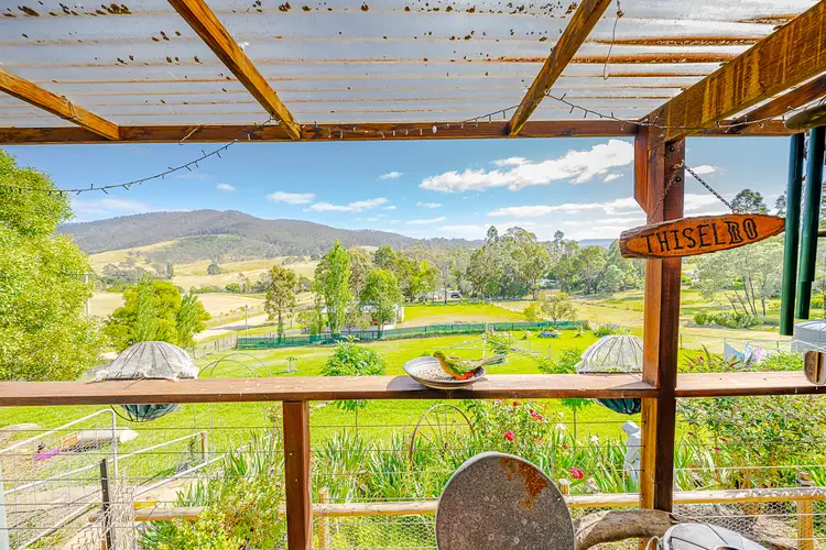 54 Monaro Street, Wyndham NSW 2550