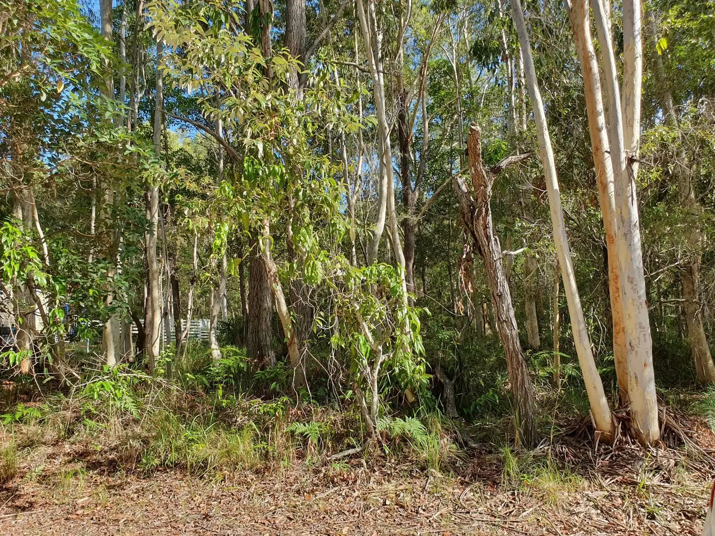 Main view of Homely land listing, 29 Romford Cres, Russell Island QLD 4184