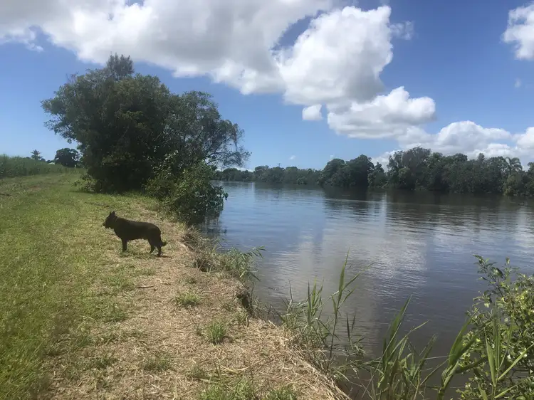 Main view of Homely rural property listing, 2 Store Rd, Maroochy River QLD 4561
