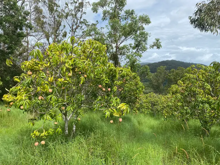 Fourth view of Homely rural property listing, 376 Findon Creek Road, Kyogle NSW 2474