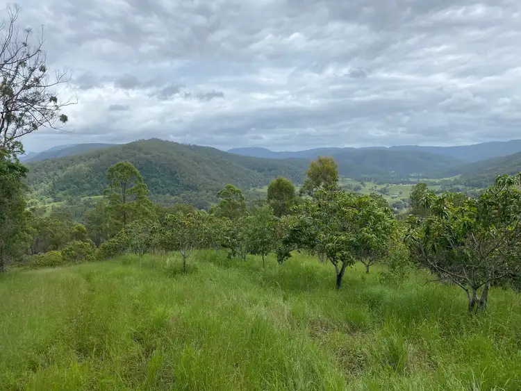 Fifth view of Homely rural property listing, 376 Findon Creek Road, Kyogle NSW 2474