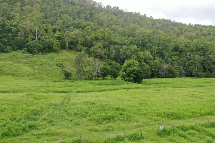 Seventh view of Homely rural property listing, 376 Findon Creek Road, Kyogle NSW 2474