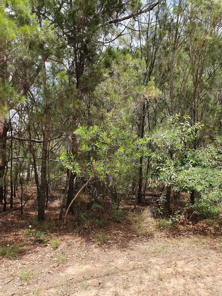 Second view of Homely land listing, 38 Tahlin Dr, Russell Island QLD 4184