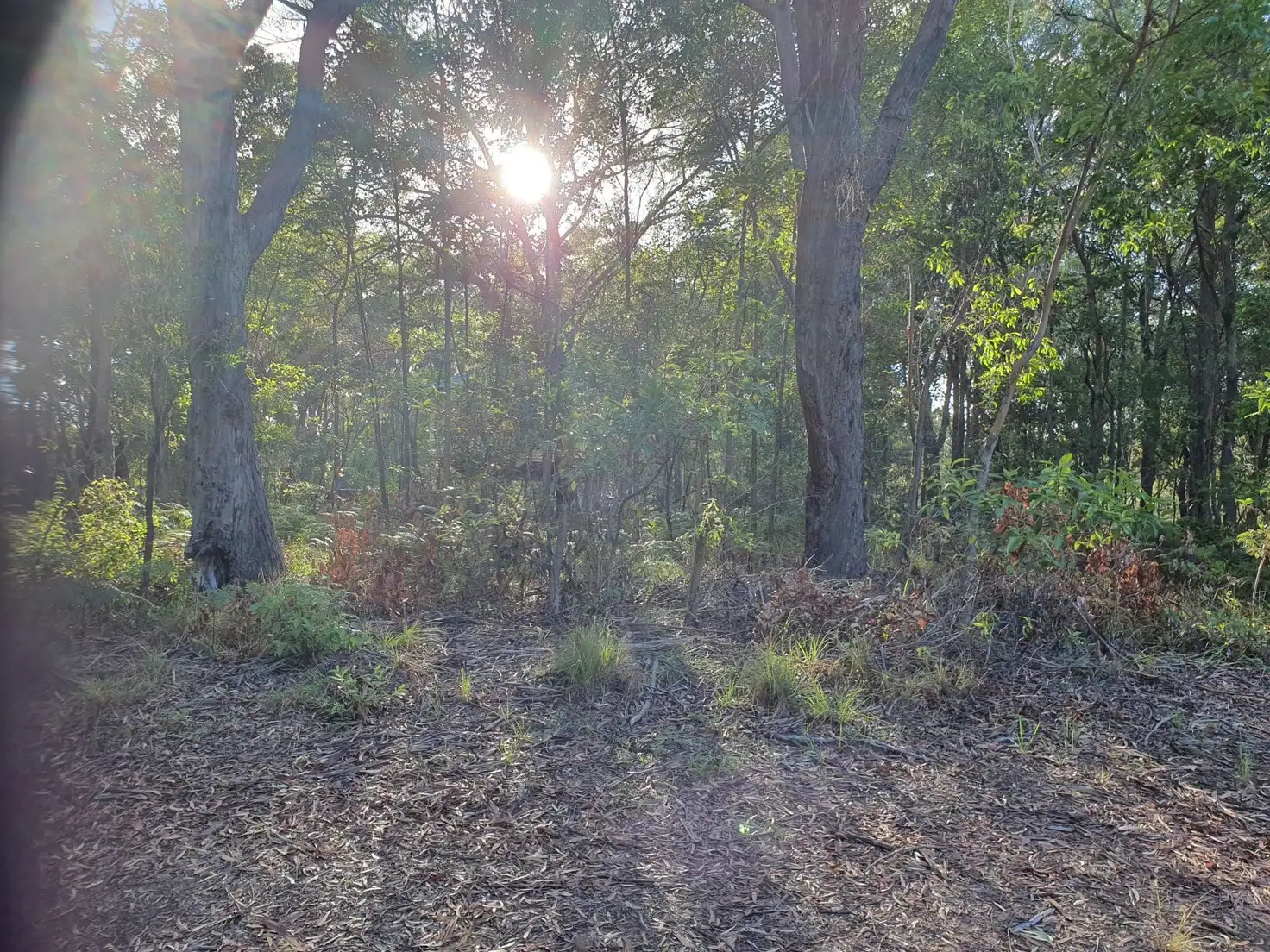 Main view of Homely land listing, 13 Bowen Ave, Russell Island QLD 4184
