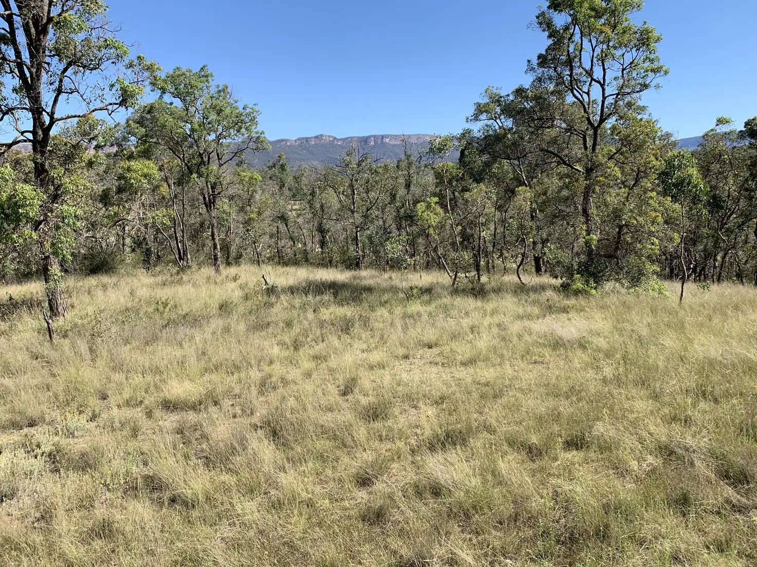 Main view of Homely rural property listing, 1998 Glen Davis Rd, Glen Davis NSW 2846