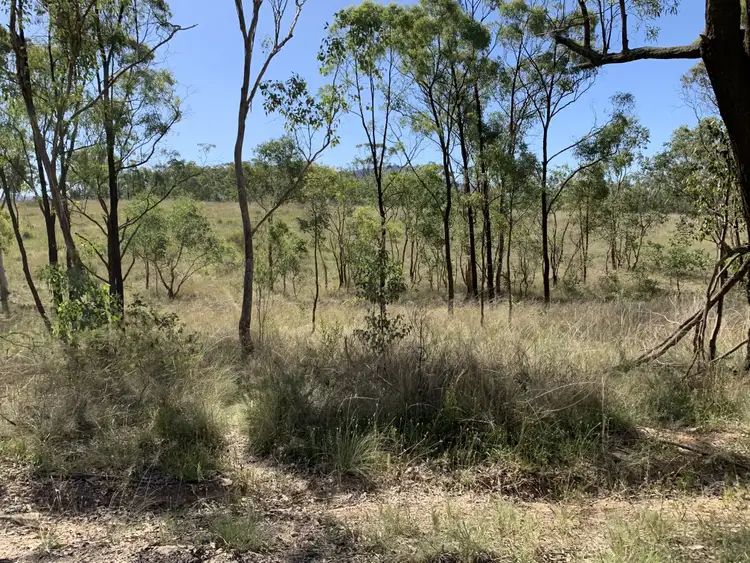 Third view of Homely rural property listing, 1998 Glen Davis Rd, Glen Davis NSW 2846